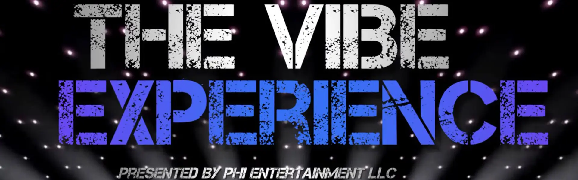 The Vibe Experience