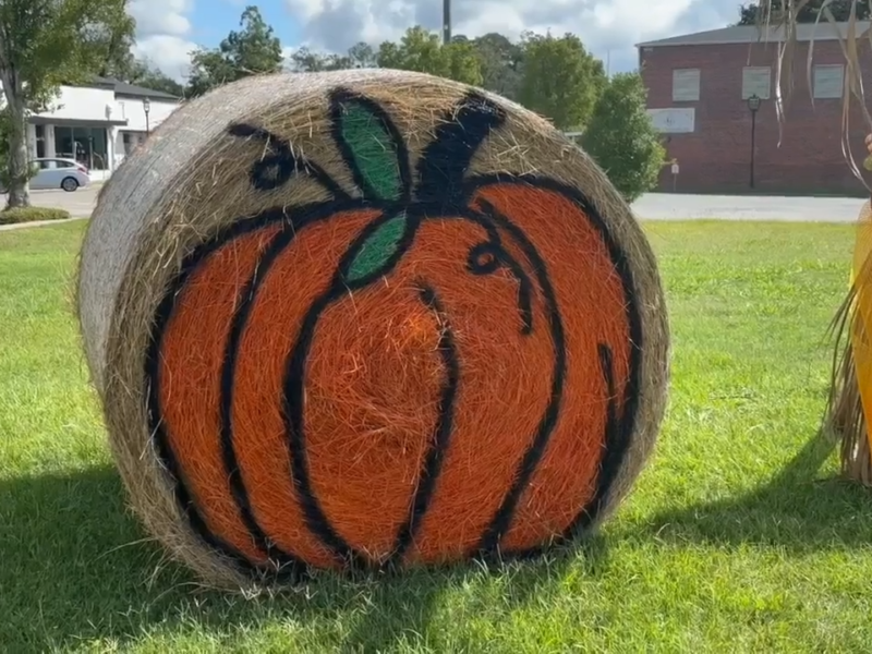 Havana Mainstreet Pumpkin Fest News