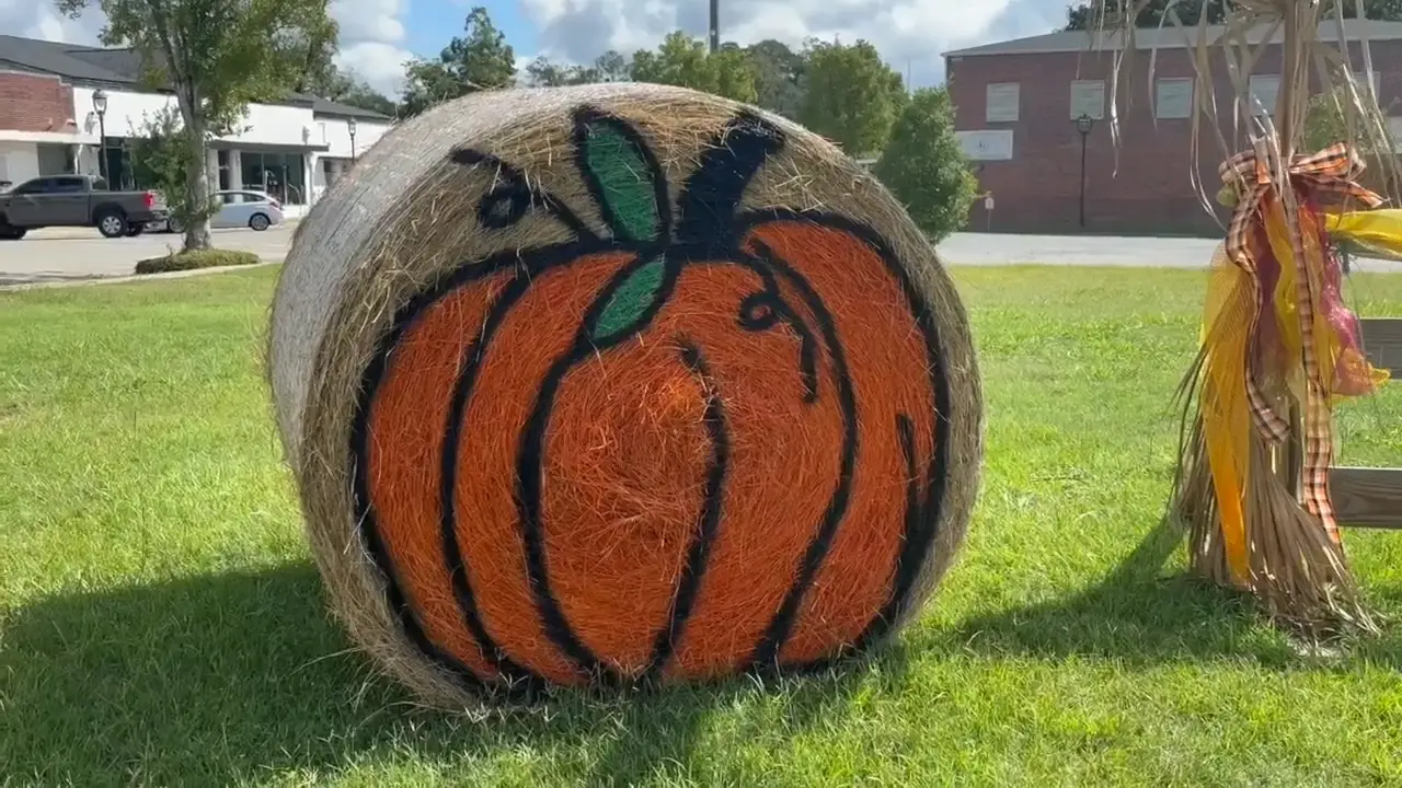 Havana Mainstreet Pumpkin Fest News